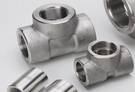 Stainless Steel Forged Fittings